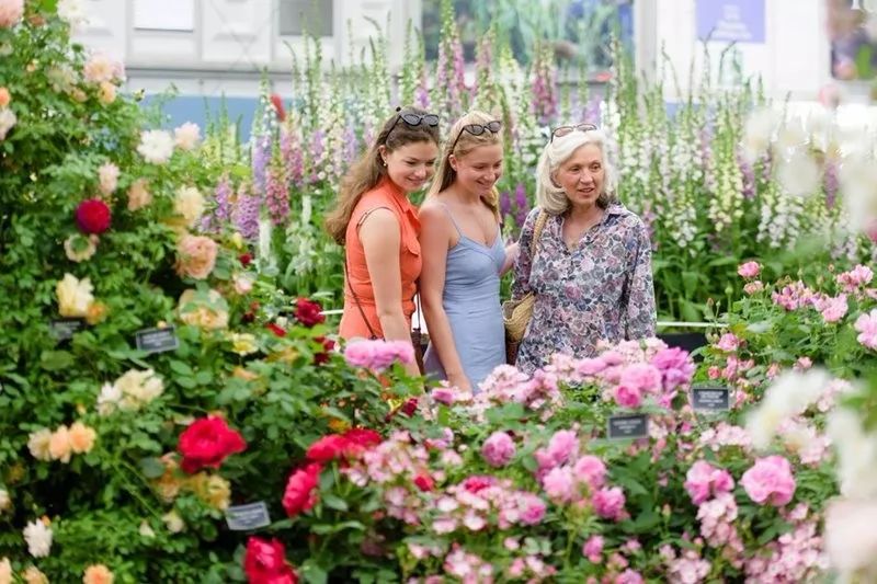 ZYEEN分享|2019英国切尔西花展花园大奖已评出，看看今年的园子有什么不一样