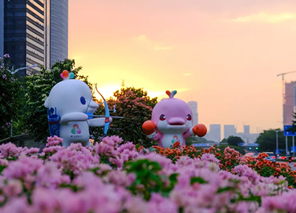 全运风采，绽放深南 | 簕杜鹃立体花境演绎城市美学