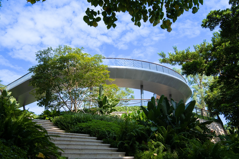 红岗公园 | 断点重生•深圳山海连城新坐标