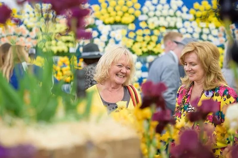 ZYEEN分享|2019英国切尔西花展花园大奖已评出，看看今年的园子有什么不一样(图6)