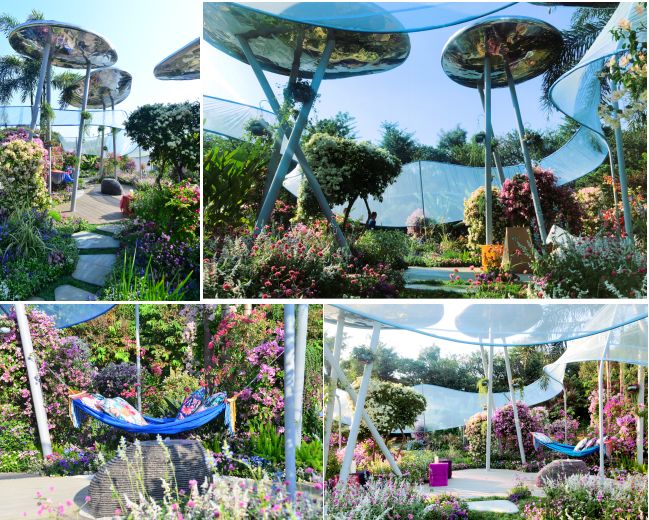 【精彩赏析】叶子花语梦,添香逐悦风 | 2019深圳簕杜鹃花展之悦动花园(图8) 图片