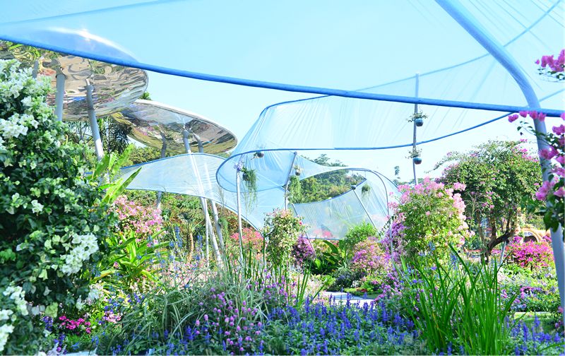 【精彩赏析】叶子花语梦,添香逐悦风 | 2019深圳簕杜鹃花展之悦动花园(图6) 图片