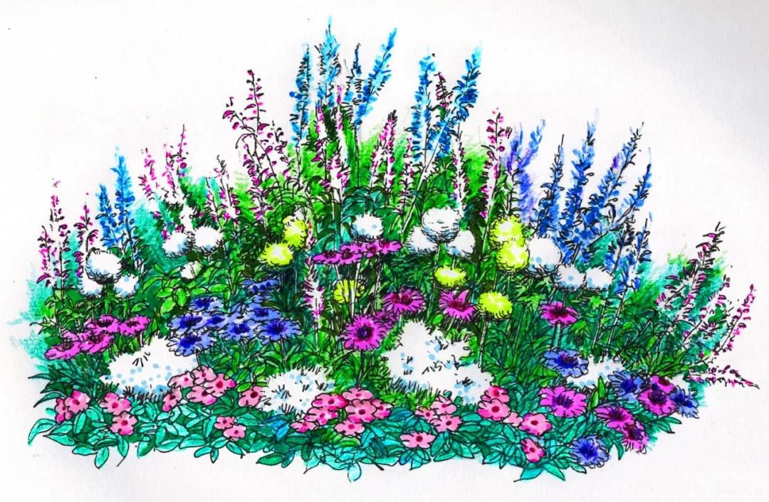 【精彩赏析】叶子花语梦,添香逐悦风 | 2019深圳簕杜鹃花展之悦动花园(图14) 图片